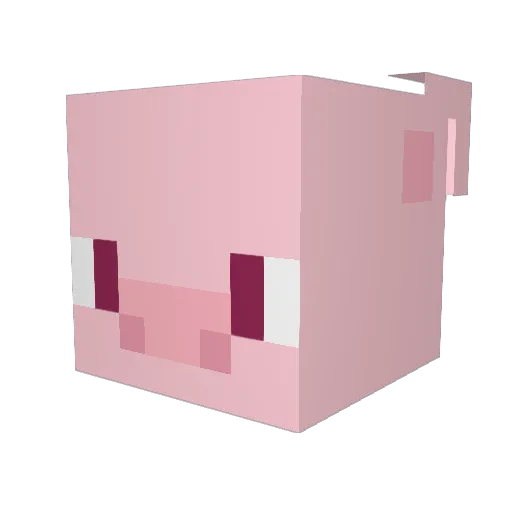 jasnotcool Minecraft avatar head, 3D render