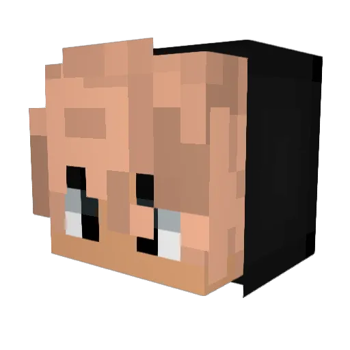 jason1331 Minecraft avatar head, 3D render