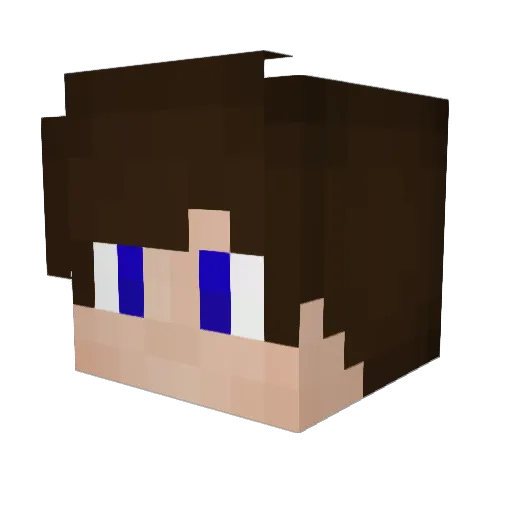 jason3609 Minecraft avatar head, 3D render