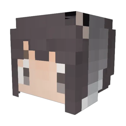 jason6669998 Minecraft avatar head, 3D render