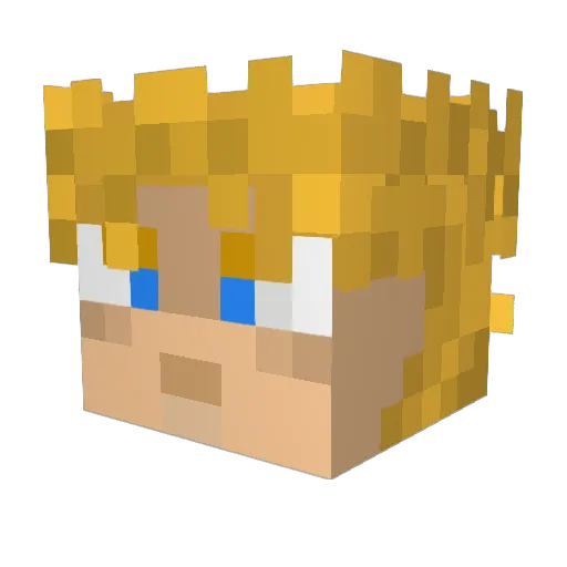 jasoncool441 Minecraft avatar head, 3D render