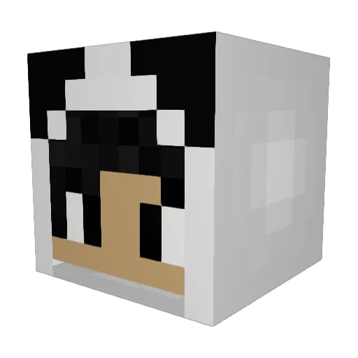 jasone666 Minecraft avatar head, 3D render