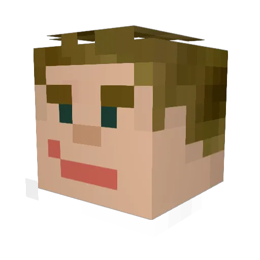 jasontox Minecraft avatar head, 3D render
