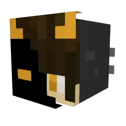 jasp_ya_boi Minecraft avatar head, 3D render