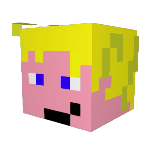 jasper8687 Minecraft avatar head, 3D render