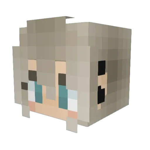 jass___ Minecraft avatar head, 3D render