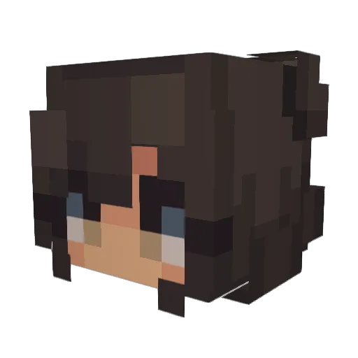 jassel Minecraft avatar head, 3D render