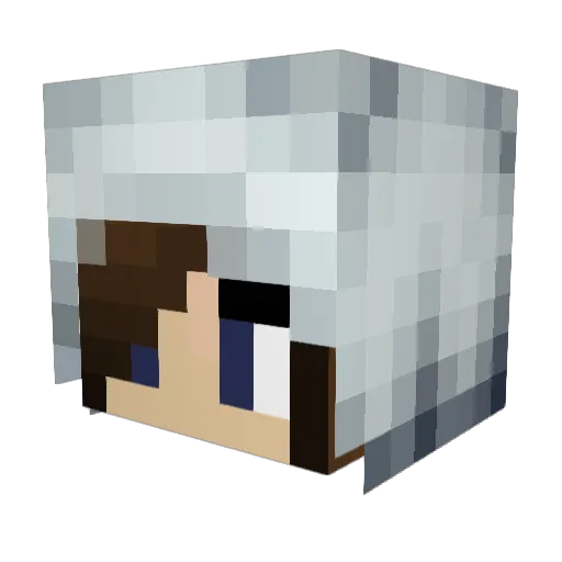 jassy7 Minecraft avatar head, 3D render