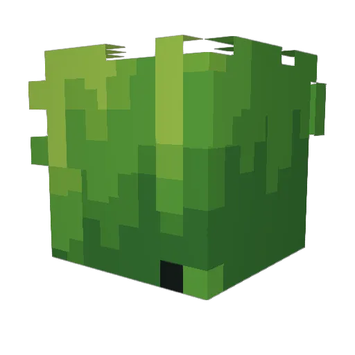 jast12 Minecraft avatar head, 3D render