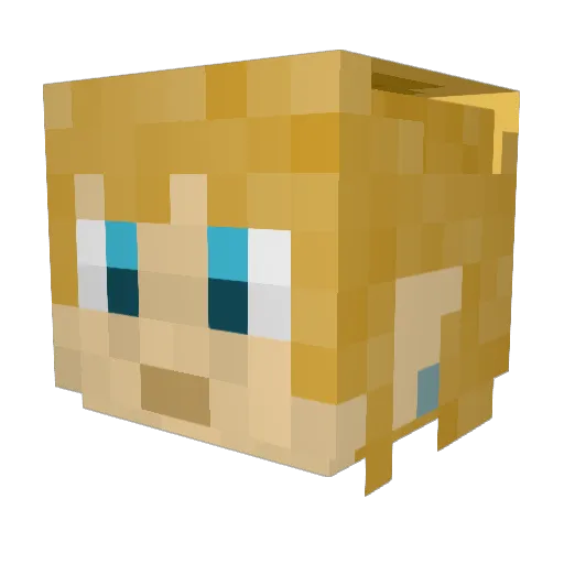 jastix1 Minecraft avatar head, 3D render