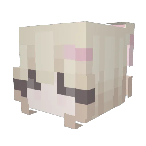 jasw_w Minecraft avatar head, 3D render