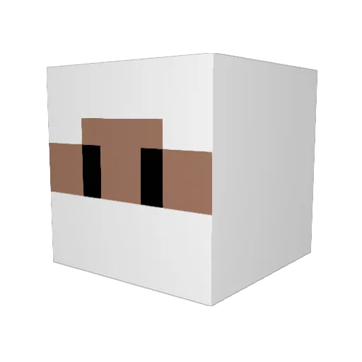 jaszczurpl Minecraft avatar head, 3D render