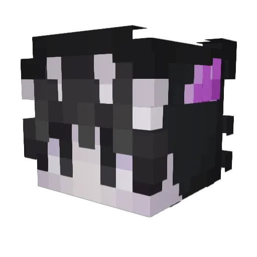 jawhne Minecraft avatar head, 3D render