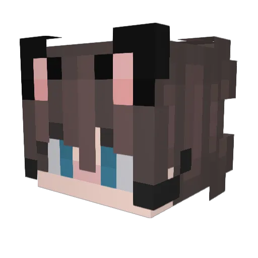 jawman2011 Minecraft avatar head, 3D render