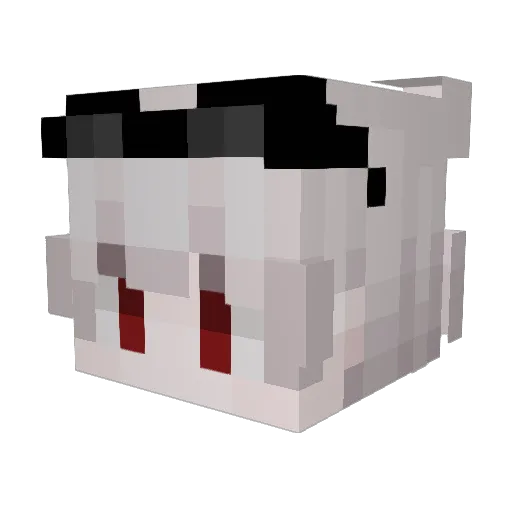 jawsjaws Minecraft avatar head, 3D render