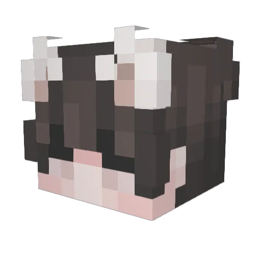 jax2709 Minecraft avatar head, 3D render