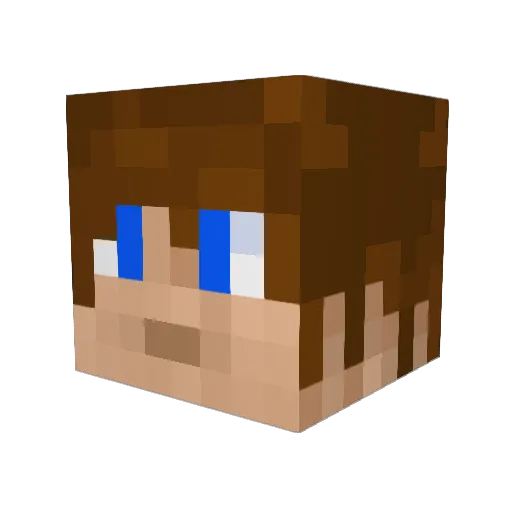 jaxjax14 Minecraft avatar head, 3D render