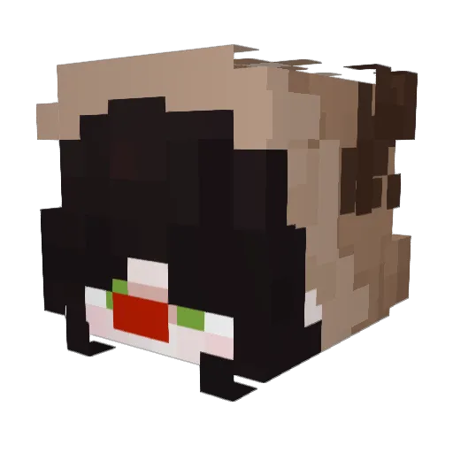 jaxmi_ Minecraft avatar head, 3D render