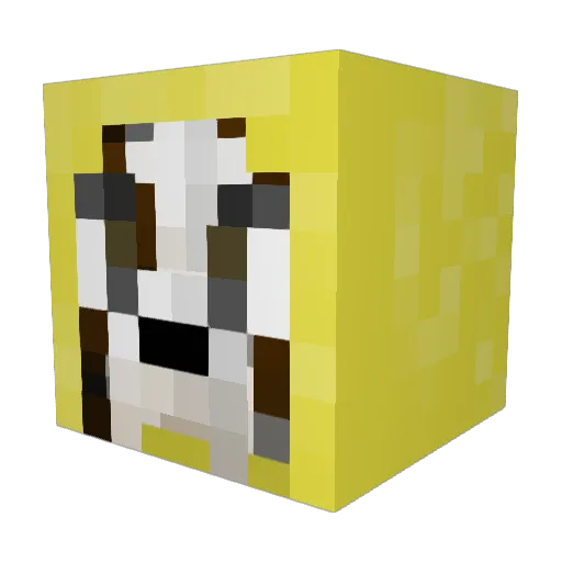 jaxsonr5 Minecraft avatar head, 3D render