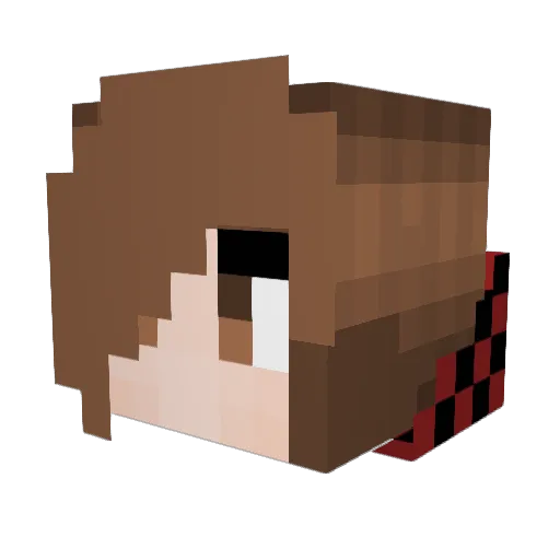 jaxx251 Minecraft avatar head, 3D render
