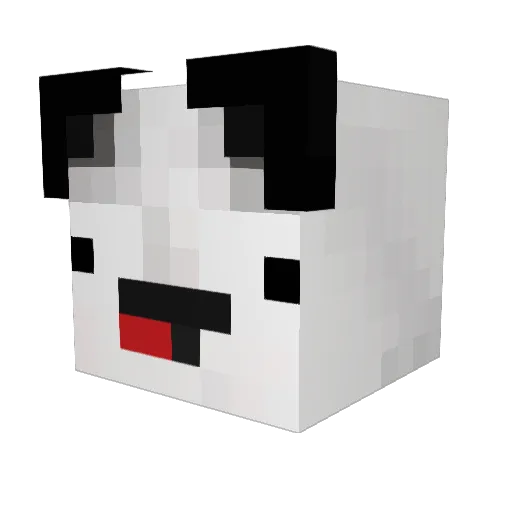 jaxy713 Minecraft avatar head, 3D render