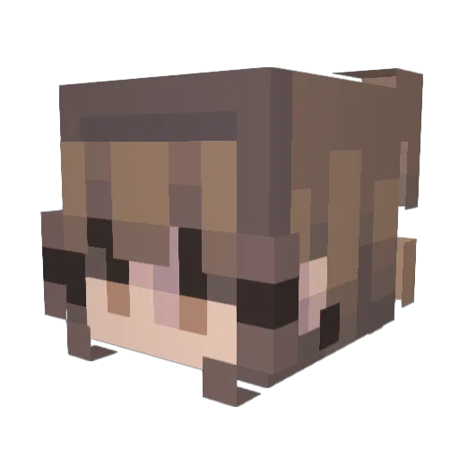 jay016 Minecraft avatar head, 3D render