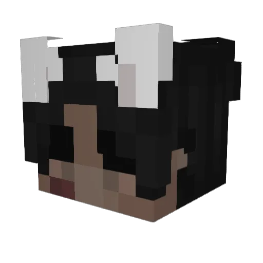 jay3t6 Minecraft avatar head, 3D render