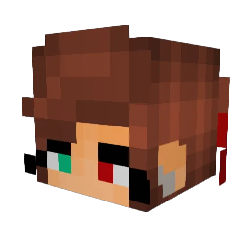 jay9055 Minecraft avatar head, 3D render