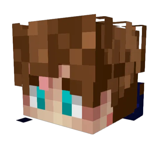 jay_abhi Minecraft avatar head, 3D render