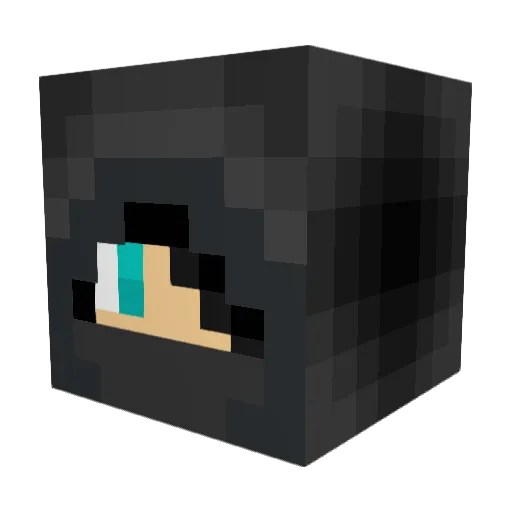 jay_jay_jr44 Minecraft avatar head, 3D render