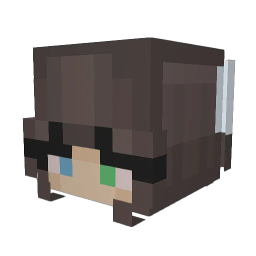 jay_jay_smh Minecraft avatar head, 3D render
