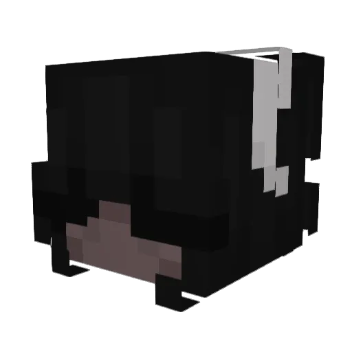 jay_lynn15 Minecraft avatar head, 3D render