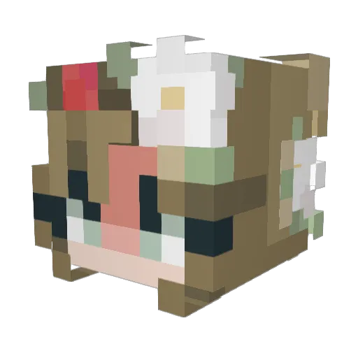 jayb_2006 Minecraft avatar head, 3D render