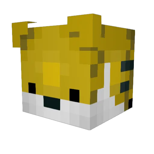 jaybetty Minecraft avatar head, 3D render