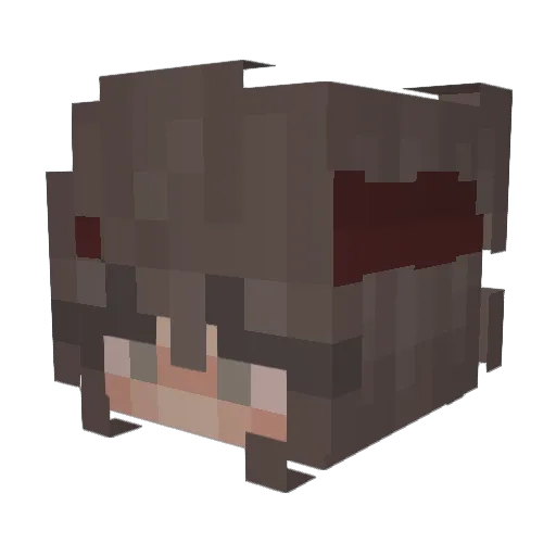 jaybirdssgf Minecraft avatar head, 3D render