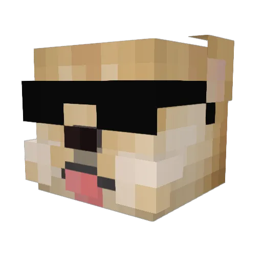 jayboogie17 Minecraft avatar head, 3D render