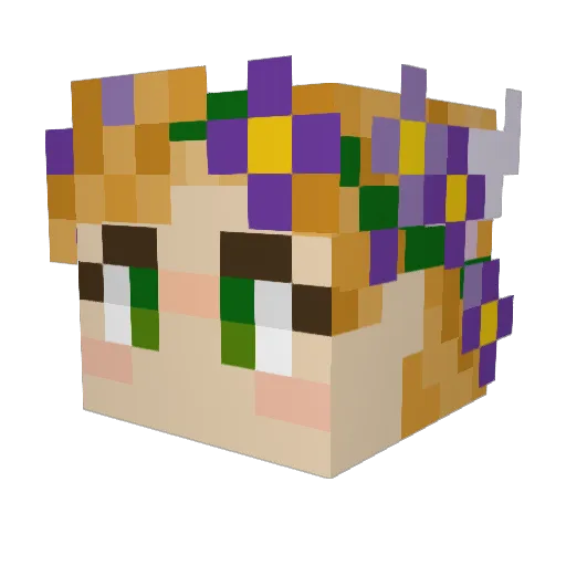 jaycantsleep Minecraft avatar head, 3D render