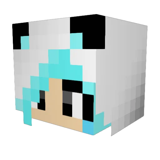 jayceeking1 Minecraft avatar head, 3D render