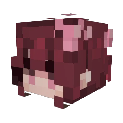 jayceera Minecraft avatar head, 3D render
