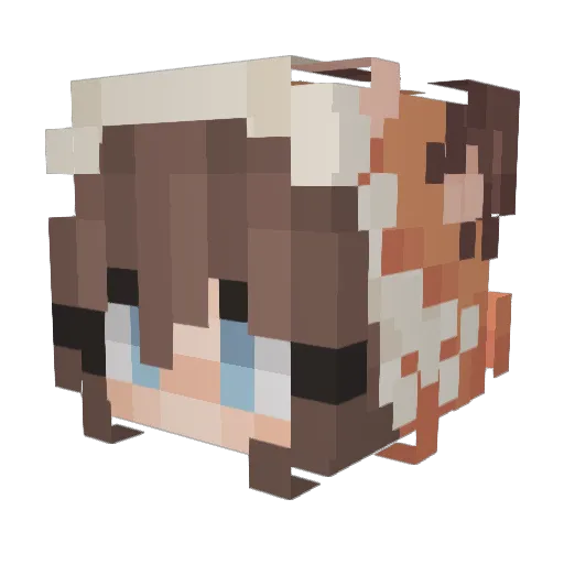 jaycifer_ Minecraft avatar head, 3D render