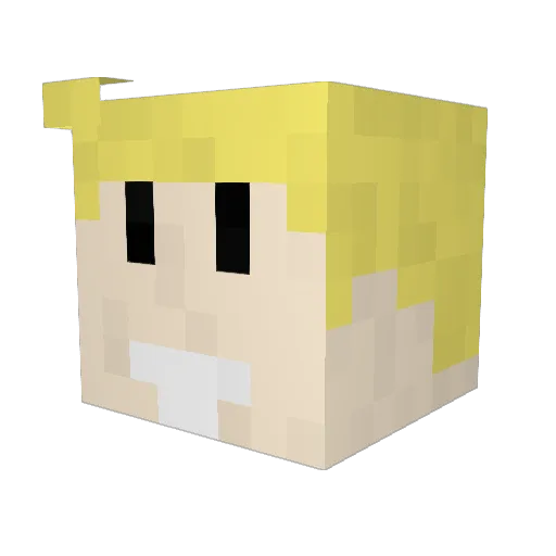 jaycool999 Minecraft avatar head, 3D render