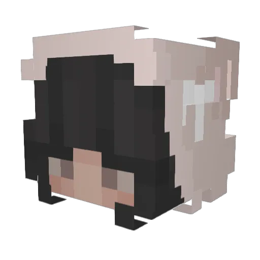 jaydasade Minecraft avatar head, 3D render
