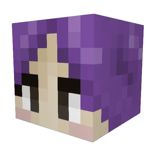 jaydeelovesyou Minecraft avatar head, 3D render