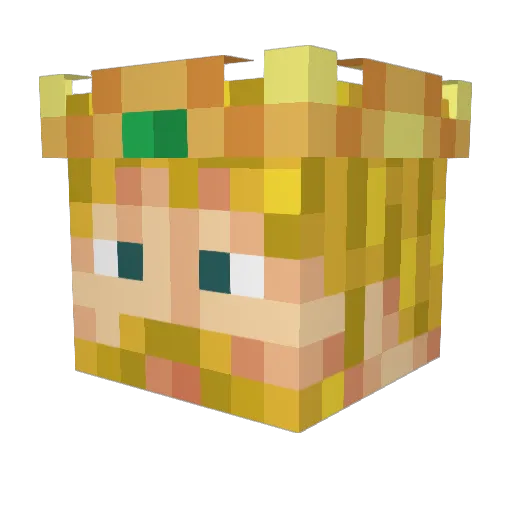 jayden524 Minecraft avatar head, 3D render