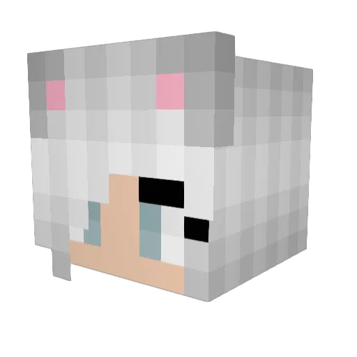 jayden526 Minecraft avatar head, 3D render