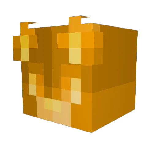 jayden_COCO Minecraft avatar head, 3D render