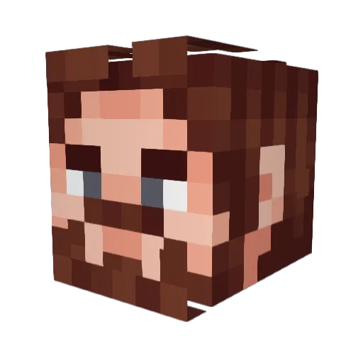 jayden_miner Minecraft avatar head, 3D render