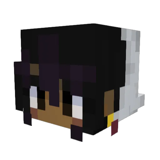 jaydenninja123 Minecraft avatar head, 3D render
