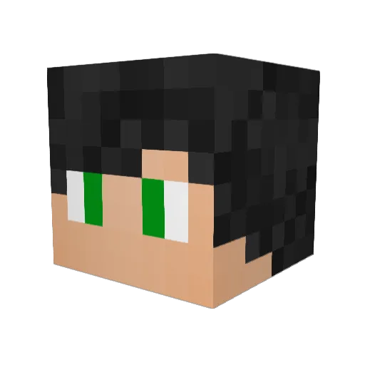 jaydog124 Minecraft avatar head, 3D render