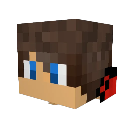 jaydog50000 Minecraft avatar head, 3D render